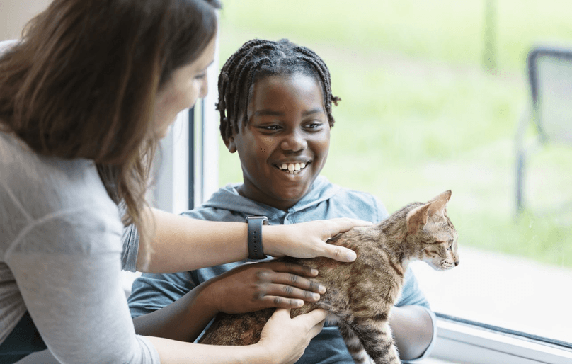 Child holding shelter cat with volunteer's help