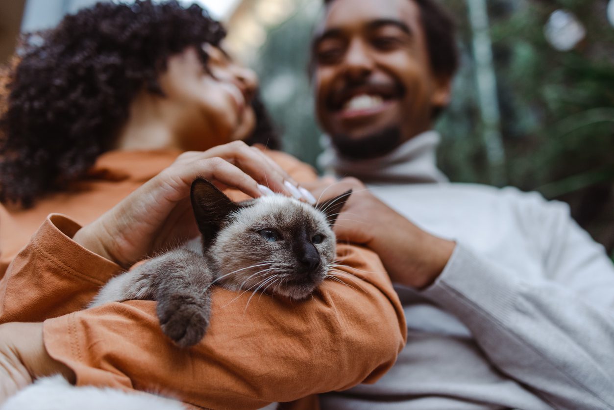 Man and woman embrace with cat in their arms