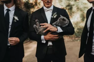 groom poses with grey cat in his arms
