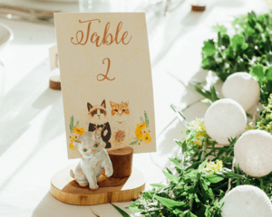 cat table sign at wedding