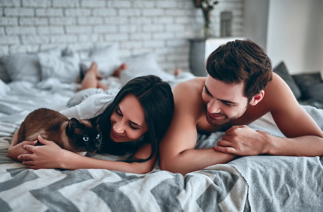 Young couple lying in bed with blue-eyed cat. Handsome bearded man and attractive young woman together at home.