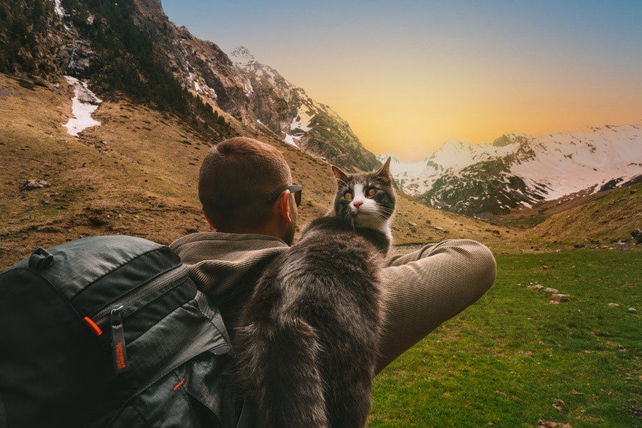 man looking out on mountain range, hiking with cat on his shoulder